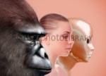 C0139506-Past_and_future_human_evolution%2C_artwork-SPL