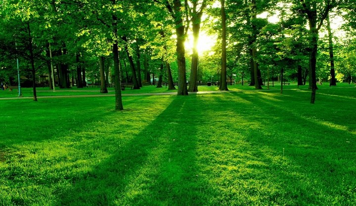 ws_Summer_Fresh_Morning_1440x900